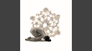 Fear Transforms into Love (Journey in Turiyasangitananda)