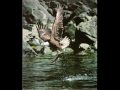 We are The Beaver - The Arrogant Worms