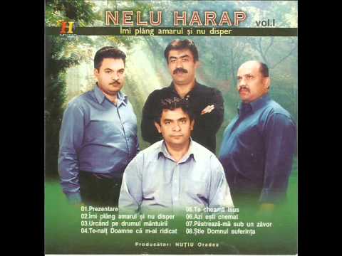 Nelu Harap - Urcand pe drumul mantuirii