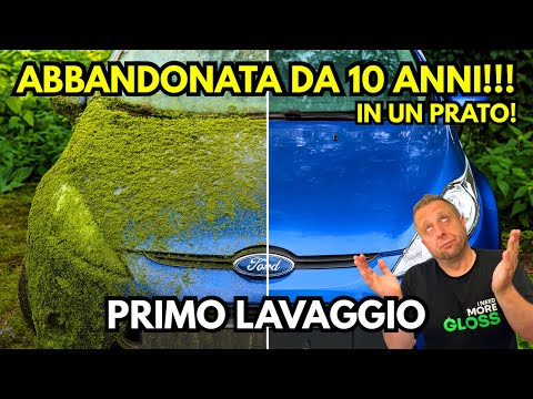 🚨 FIRST WASH IN 10 YEARS! CAR ABANDONED IN A GRASS, COVERED IN MOSS 😱