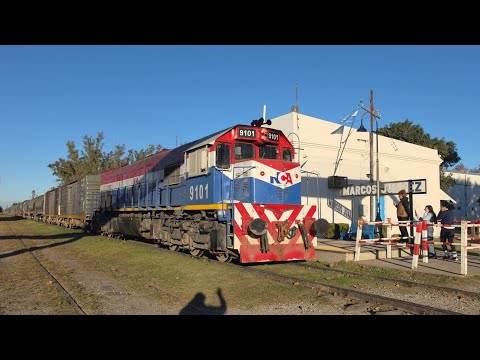 [8K] Tren de tolvas graneras de NCA con destino a Rio Primero pasando por Marcos Juárez!!!!!!