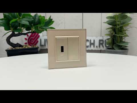 Розетка USB с блоком питания 2.1А 5В Livolo, цвет шампань (механизм) BB-C7-1USB-16
