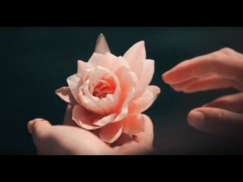 Highway Superstar - Slow Motion (Official Video)