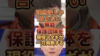 理想論しか言わない無能保護団体を現役マタギが一刀両断する #政治 #日本 #クマ #狩猟