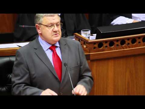 Nelson Mandela tribute: Parliament