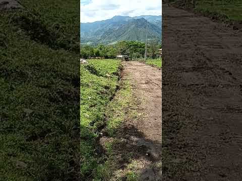 curso minicargador Cat La Plata, Huila