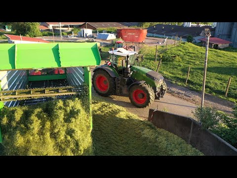 Grasernte 2022 Häckseln & Silieren - Grassilage für die BGA ( Claas Jaguar 890, Fendt 1050 Vario )