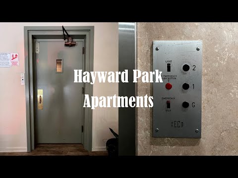 Nice Motor! IECO Hydraulic Swing Door Elevator - Hayward Park Apartments - San Mateo, CA