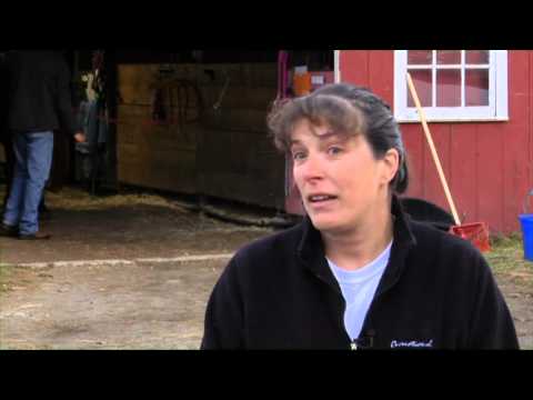 Equine Therapy for 20 Veterans in Hopkinton NH