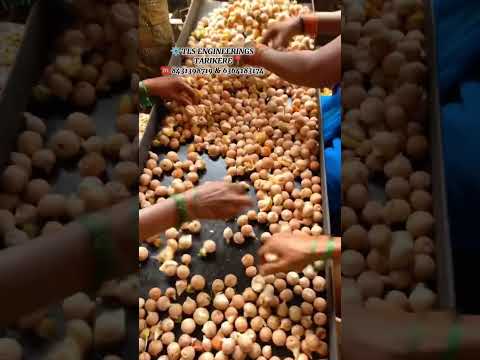 Dehusker single phase 16 belt arecanut dehusking machine, 2h...