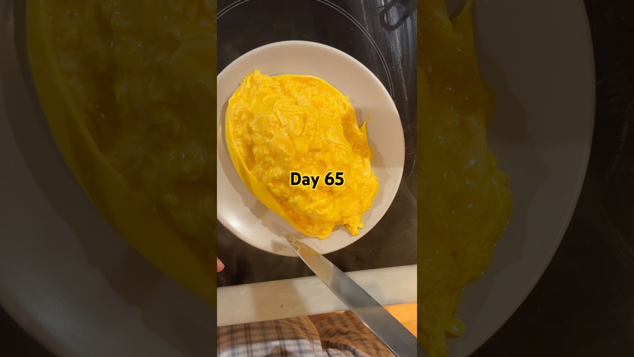 World’s hardest omelet - Day 65