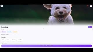 🐾 Pawtopia: Yeni Nesil Yapay Zeka Destekli Sahiplendirme Platformu