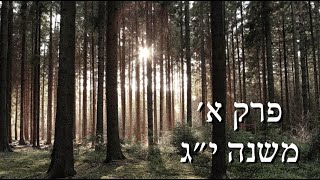 דקה לנשמה עם הרב קראוס - פרק א' משנה י"ג - למי מגיע כבוד?