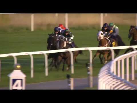 Lanwades Stud Stakes (L) 2024 - Little Arabella