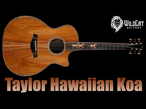 Taylor Custom Grand Auditorium Acoustic-Electric Hawaiian Koa Top and Body