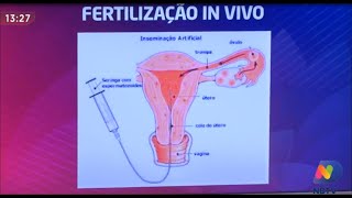 Fertilização IN VIVO  e  fertilização IN VITRO - Dr. Belarmino