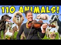Morning Chores FARM TOUR A Silly Day With My Animals Summer 2025