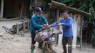 Selling wild boar. How to take care of more than 30 wild boars. Green forest life