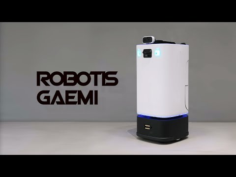 로보티즈 개미 (실내용)