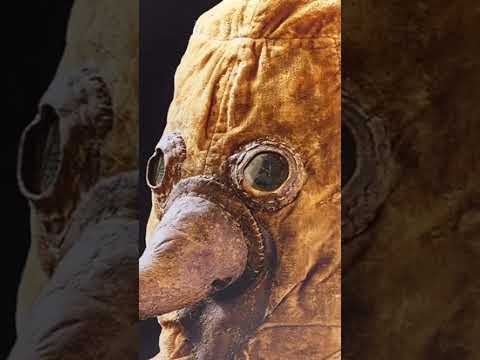 Why Doctors Used To Wear this CREEPY MASK 👺💀#blackplague #plague #nosemask #plaguedoctor