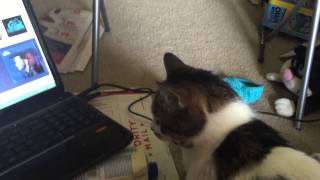 Mindy Hates Whistling Caruso