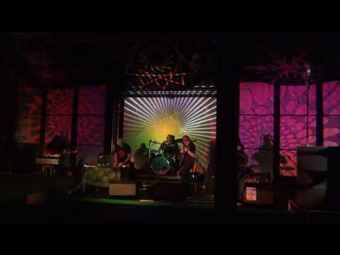 Dark Zen Collectiv (full performance), 27th August 2022, Club 85, Hitchin.