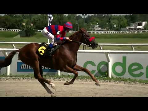 220304 c01 - EL VIGIA - HIPODROMO LAS PIEDRAS