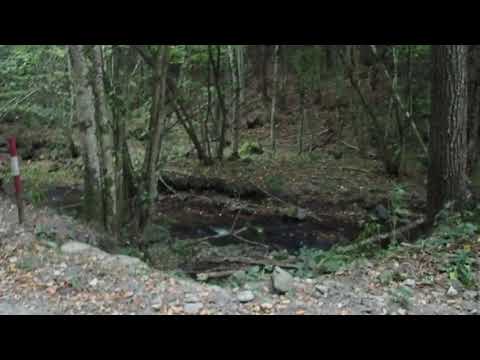 A Hostarlae   Casa Padurarului