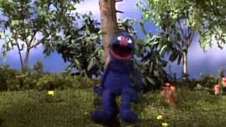 Classic Sesame Street - Grover and the Butterfly