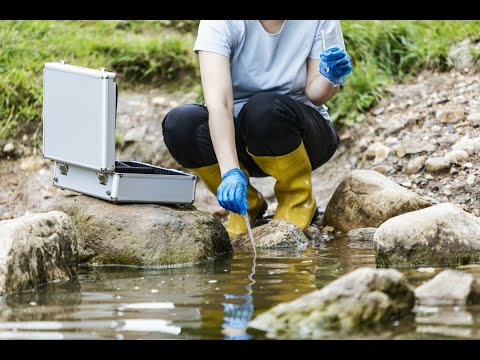 Pro Ornis - Monika Zielińska Pracownia Badań Przyrodniczych - video