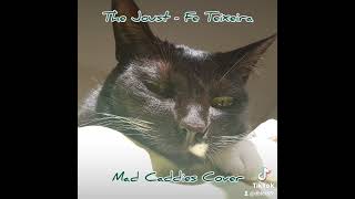 The Joust - Mad Caddies Acoustic Cover by Fe Teixeira