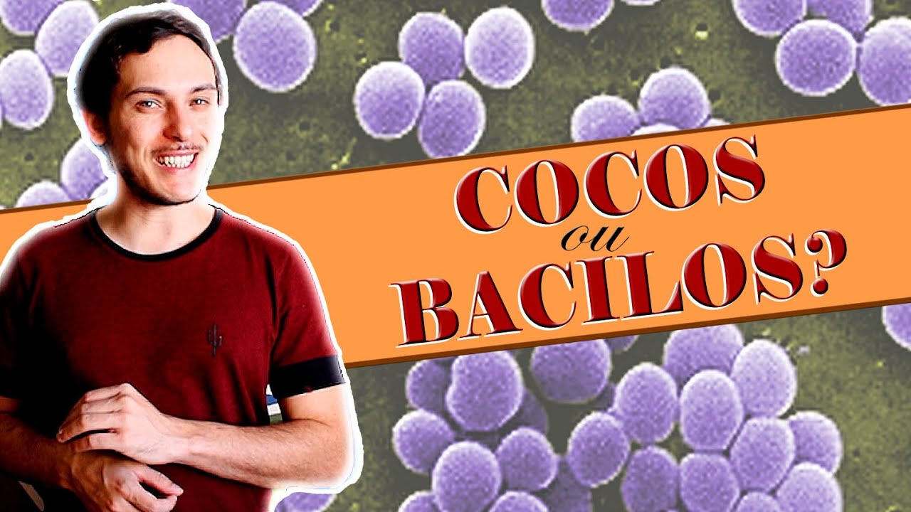 Formato das bactérias: Microbiologia