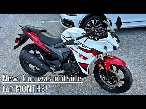 Bought a "Lucky Find, Never Used" Motorcycle for $1600 - Is it any good?