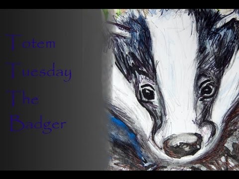 Totem Tuesday 9 - The Badger