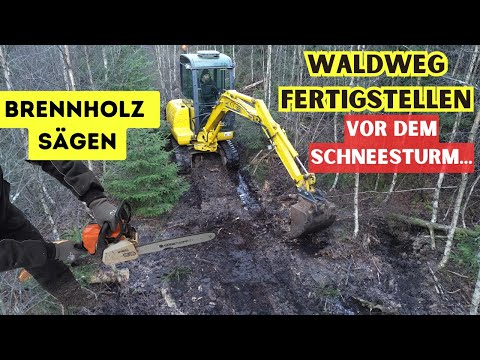 Schneesturm naht: Brennholz & Waldweg winterfest machen