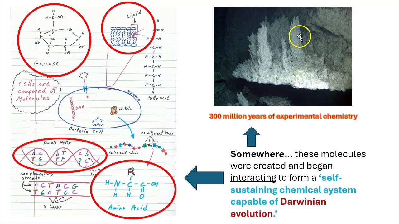 Setting the stage for the origin of life