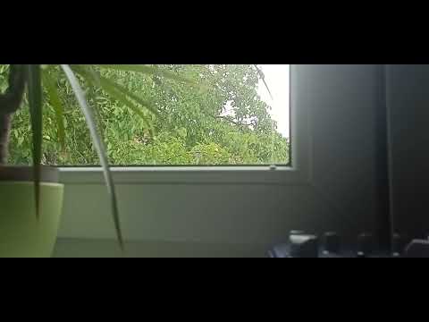 Youtube Video dAyxVzfNQFI