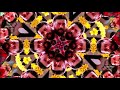 Thinkale Poonthinkale Anohnymouss Remix Visualizer