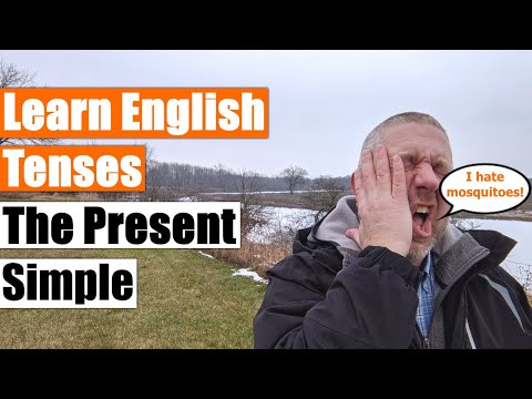 Learn English Tenses: The Present Simple