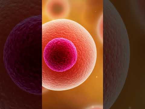 Is the RNA World Feasible?