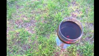 Those not yet fameless Rotwein sessions - extracts.wmv