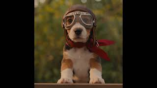 Snoopy vs. the Red Baron #disney #snoopy #peanuts #pixarstyle #microdrama