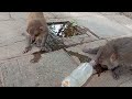Apna Apna Pani Peene Ka Tarik Drinkwater