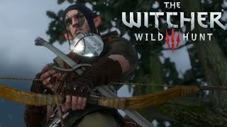 The Last Error You'll Ever Make l The Witcher 3: Wild Hunt #35
