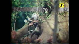 Download lagu Nostalgia film boneka Si Unyil   Pengorbanan Seorang Ibu 4 mp3