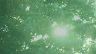 The sun and the shadows art movie