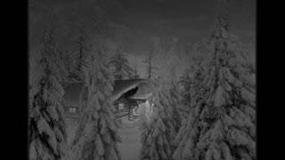 Forest Stream - Snowfall