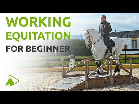 An Introduction to Working Equitation by Pedro Torres | wehorse