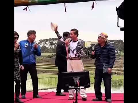 Cibai Dashcam Song Malaysia 多少柔情多少泪｜林娘咧老鸡拜