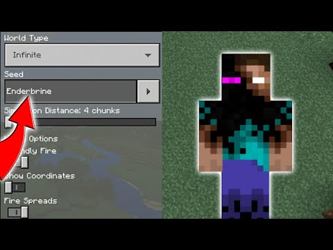 Is Enderbrine On This Minecraft World? (Minecraft PE Enderbrine Seed)